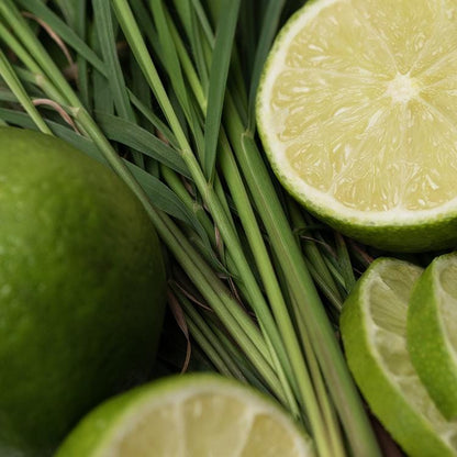 LEMONGRASS & LIME Wax Melts