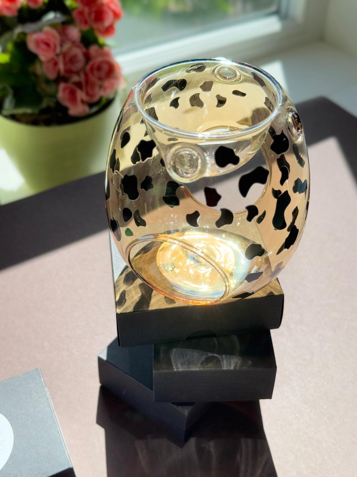 GEPARD aroma lampas dāvanu komplekts