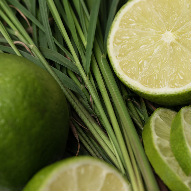 Lemongrass-and-Lime home fragrance
