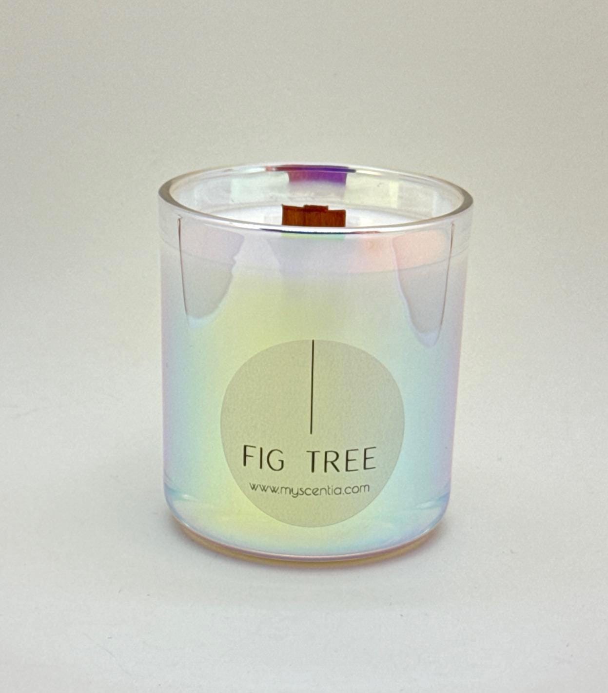 fig tree soy wax candle