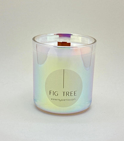 fig tree soy wax candle