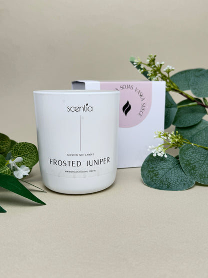 frosted juniper soy wax candle