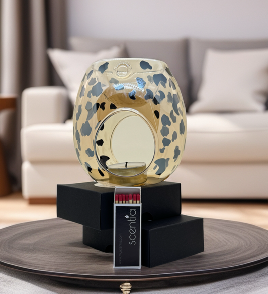 GEPARD Aroma Lamp Gift Set