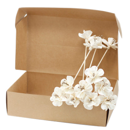 NATURAL DIFFUSER FLOWER REED
