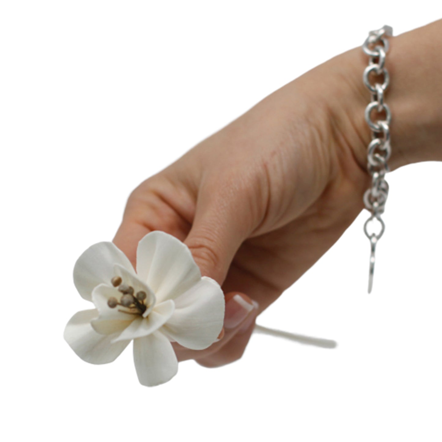 DABĪGS DIFUZORA ZIEDS uz kociņa