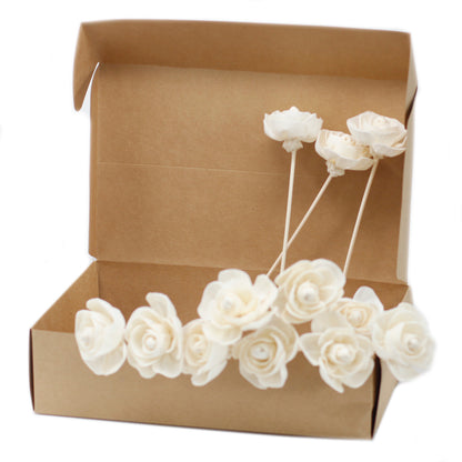 NATURAL DIFFUSER FLOWER REED