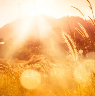 sunwashed-home fragrance